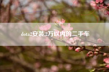 dota2安装,2万以内的二手车