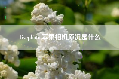 livephoto,苹果相机原况是什么