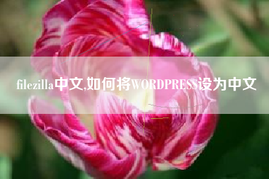filezilla中文,如何将WORDPRESS设为中文