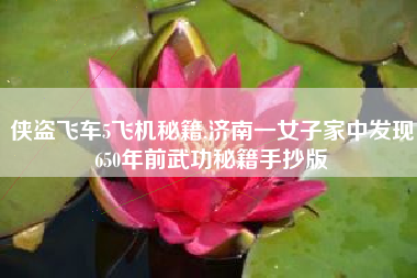 侠盗飞车5飞机秘籍,济南一女子家中发现650年前武功秘籍手抄版