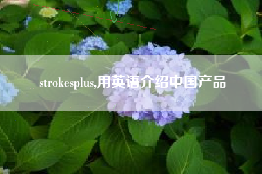 strokesplus,用英语介绍中国产品