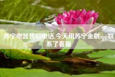 苏宁电器售后电话,今天用苏宁金融app联系了客服