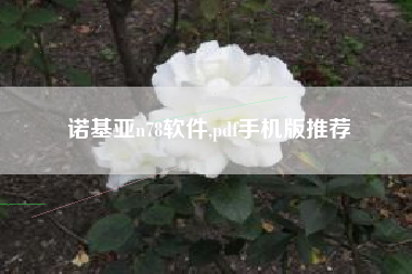 诺基亚n78软件,pdf手机版推荐