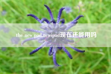 the new pad,newipad现在还能用吗