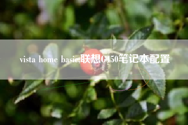 vista home basic,联想G450笔记本配置