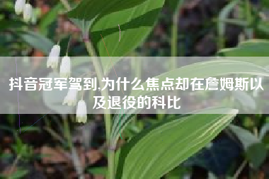 抖音冠军驾到,为什么焦点却在詹姆斯以及退役的科比