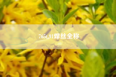 765t,91焊丝全称