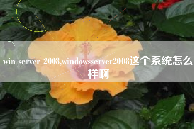 win server 2008,windowsserver2008这个系统怎么样啊