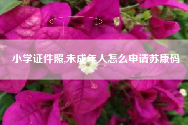 小学证件照,未成年人怎么申请苏康码