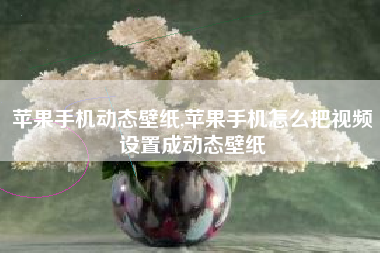 苹果手机动态壁纸,苹果手机怎么把视频设置成动态壁纸