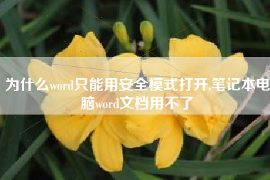 为什么word只能用安全模式打开,笔记本电脑word文档用不了