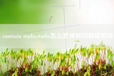 camtasia studio,studio怎么把视频切割成两段