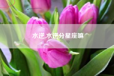 水逆,水逆分星座嘛