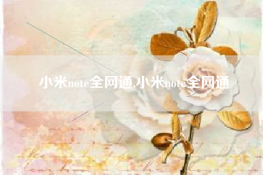 小米note全网通,小米note全网通
