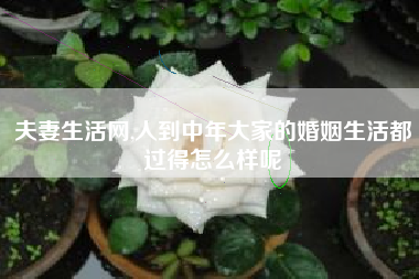 夫妻生活网,人到中年大家的婚姻生活都过得怎么样呢