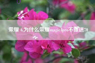 荣耀 6,为什么荣耀magic4pro不推送70