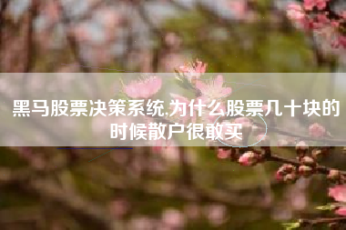 黑马股票决策系统,为什么股票几十块的时候散户很敢买