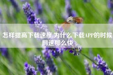 怎样提高下载速度,为什么下载APP的时候网速那么快