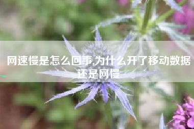 网速慢是怎么回事,为什么开了移动数据还是网慢