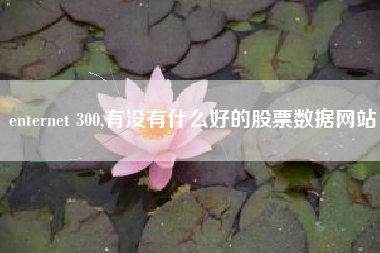 enternet 300,有没有什么好的股票数据网站