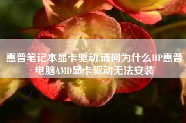 惠普笔记本显卡驱动,请问为什么HP惠普电脑AMD显卡驱动无法安装