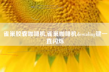 雀巢胶囊咖啡机,雀巢咖啡机descaling键一直闪烁