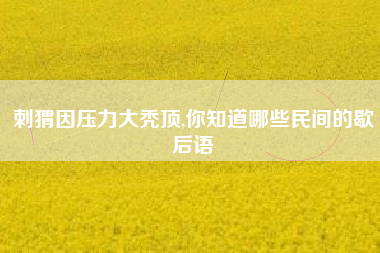 刺猬因压力大秃顶,你知道哪些民间的歇后语