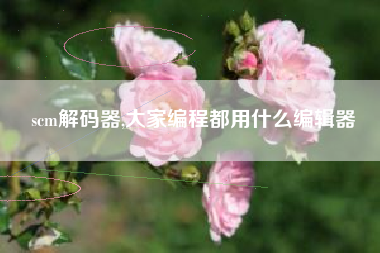 scm解码器,大家编程都用什么编辑器
