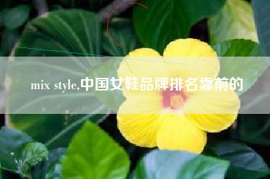 mix style,中国女鞋品牌排名靠前的
