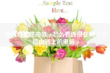 如何查看路由器ip,怎么看连接在同一个路由器上的电脑ip