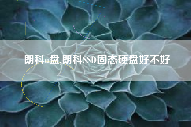 朗科u盘,朗科SSD固态硬盘好不好