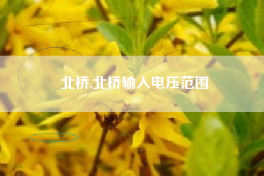 北桥,北桥输入电压范围