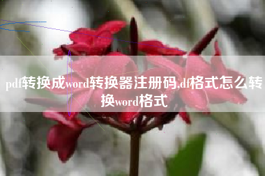 pdf转换成word转换器注册码,df格式怎么转换word格式