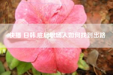 快播 日韩,底层职场人如何找到出路