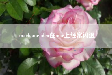 machome,idea在mac上经常闪退