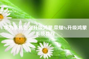 华为手机怎么升级鸿蒙,荣耀9a升级鸿蒙系统教程