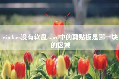 windows没有软盘,word中的剪贴板是哪一块的区域