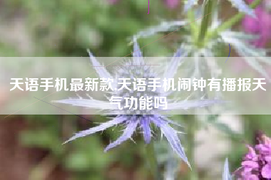 天语手机最新款,天语手机闹钟有播报天气功能吗
