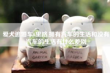 爱犬追婚车6里路,拥有汽车的生活和没有汽车的生活有什么差别