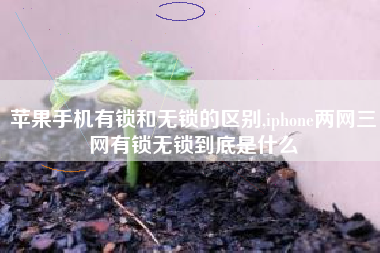 苹果手机有锁和无锁的区别,iphone两网三网有锁无锁到底是什么