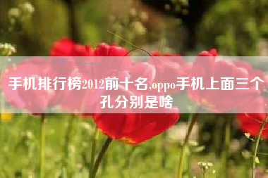 手机排行榜2012前十名,oppo手机上面三个孔分别是啥