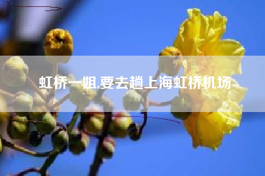 虹桥一姐,要去趟上海虹桥机场