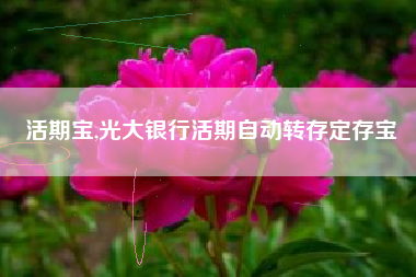 活期宝,光大银行活期自动转存定存宝