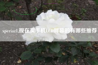 xperiaz1,现在买手机LCD屏幕的有哪些推荐