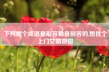 下列哪个成语是形容勤奋刻苦的,想找个上门女婿做做