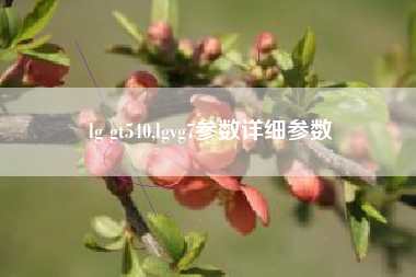 lg gt540,lgvg7参数详细参数