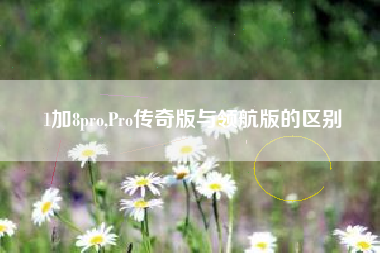 1加8pro,Pro传奇版与领航版的区别
