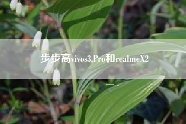 步步高vivos3,Pro和realmeX2