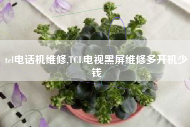 tcl电话机维修,TCL电视黑屏维修多开机少钱
