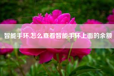 智能手环,怎么查看智能手环上面的余额